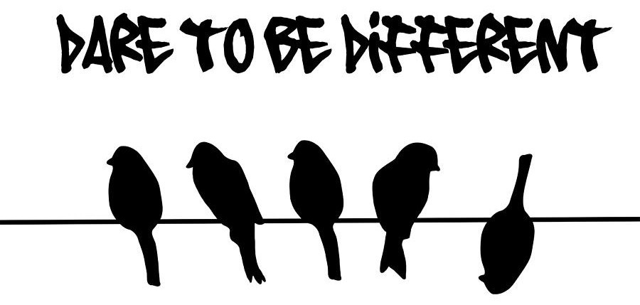 dare-to-be-different-birds-on-a-wire-li-or-900x429